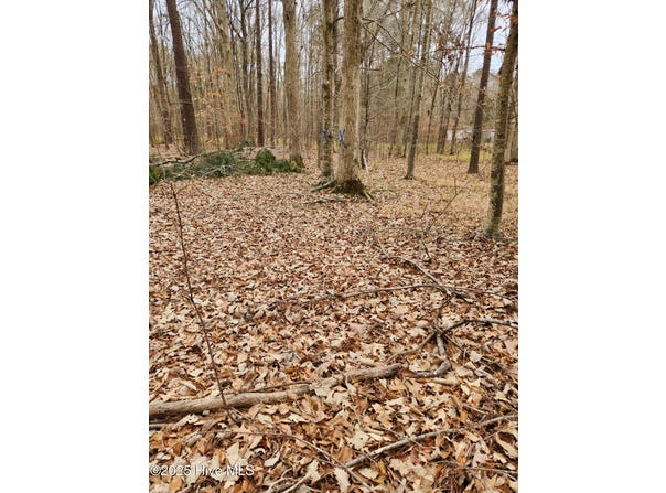 146 Tranquility Lane, Hertford, NC 27944