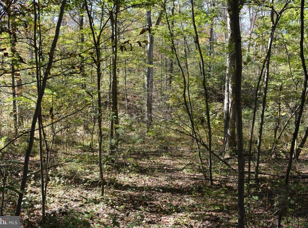 33+ ACRES QUAIL RUN LANE, WINCHESTER, VA 22602