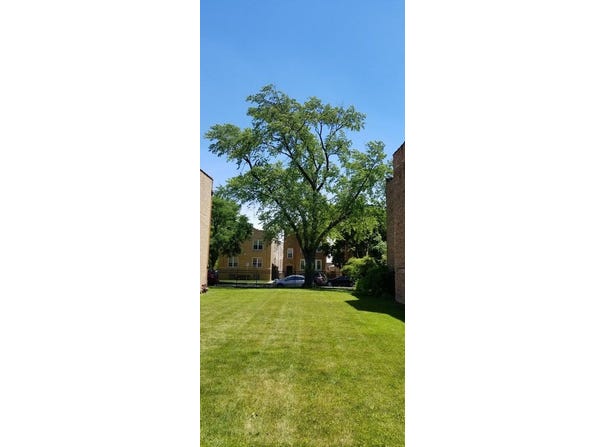 6654 N Artesian Avenue, Chicago, IL 60645