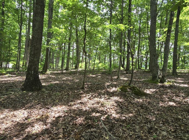 300 Canaan Lane, Rising Fawn, GA 30738