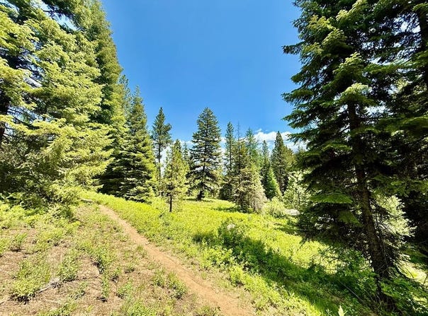 201 Discovery Drive, Donnelly, ID 83615