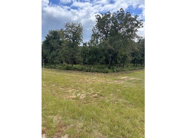20 Meadowood, Hilltop Lakes, TX 77871