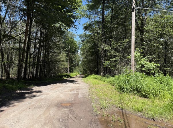 20 Wildbrooke Drive, Newfoundland, PA 18445