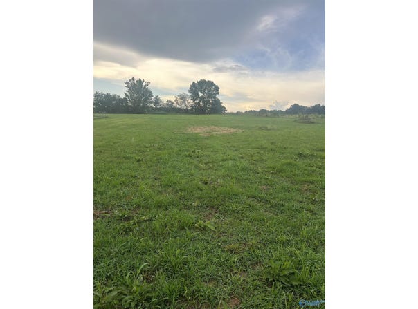 6097 County Road 1763 B, Arab, AL 35016