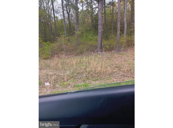 0 US RT 50 HWY, MARDELA SPRINGS, MD 21837