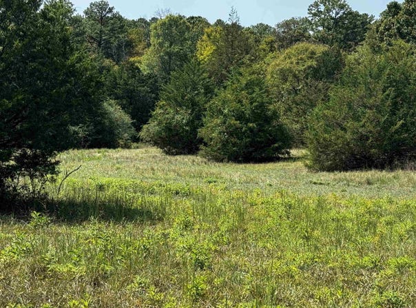 TBD Lynda Lane, Oden, AR 71961