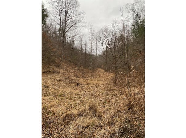 Cow Creek (Map 015-00-00-034), Salyersville, KY 41465