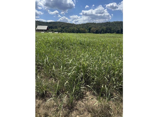 64-65 White River Run, Guion, AR 72540