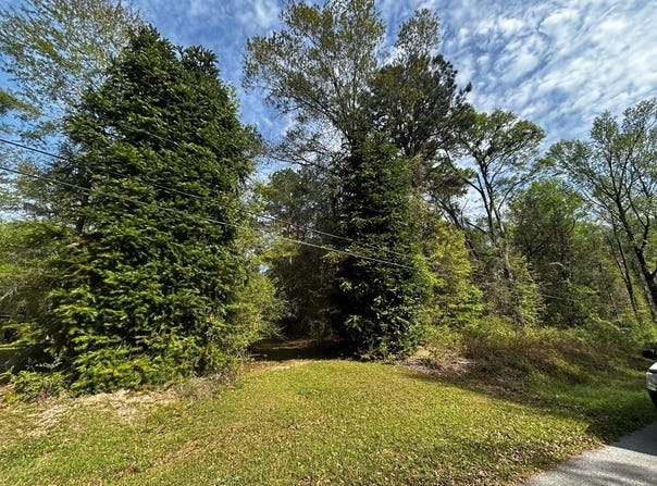 19 Bucaneer Cr, Carriere, MS 39426
