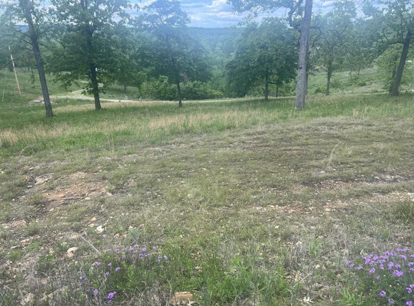 000 Farm Rd 2250, Golden, MO 65658