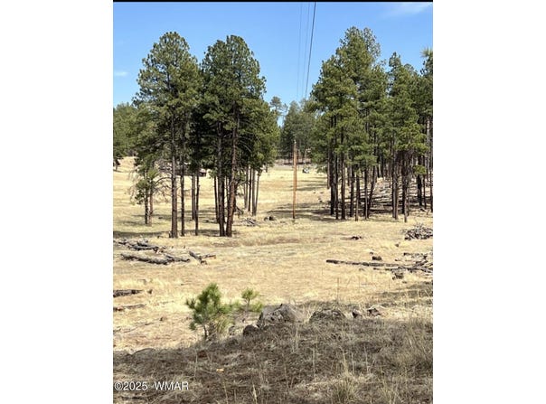 Lot E Forest Road 26, Alpine, AZ 85920