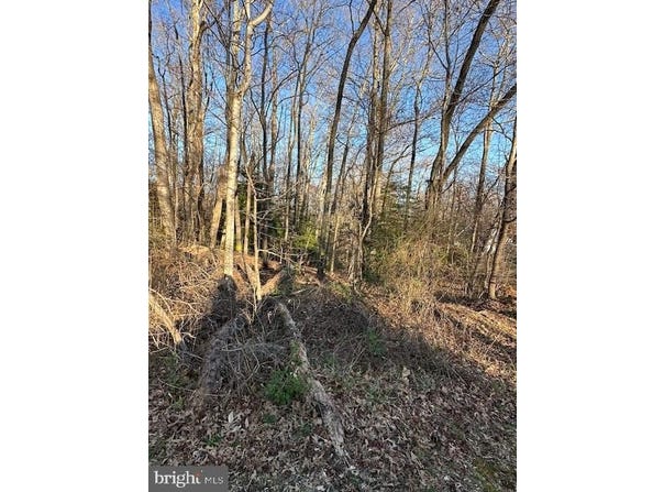 000 KIDD COURT, MONTROSS, VA 22520