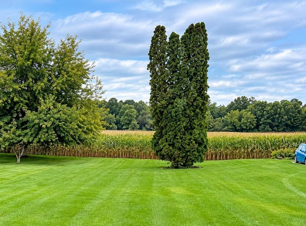 55 W Walnut Street, Marengo, OH 43334