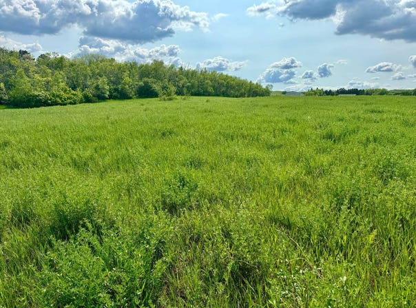 Lot 5 & 6 Oak Lane, Sisseton, SD 57262