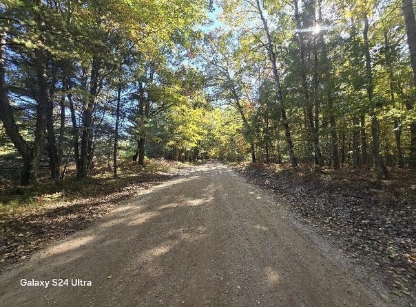 N 11 Mile Road, Irons, MI 49644