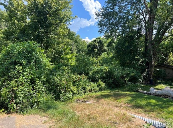 00 Main, Mill Spring, MO 63952