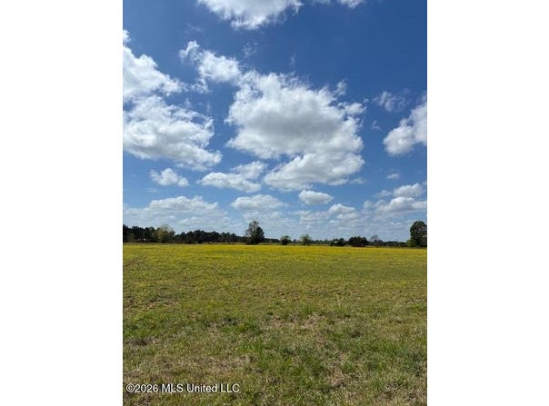 331 D Williams Road, Morton, MS 39117