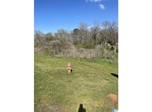 FRANKLIN ROAD lot: 1, ROANOKE, AL 36274