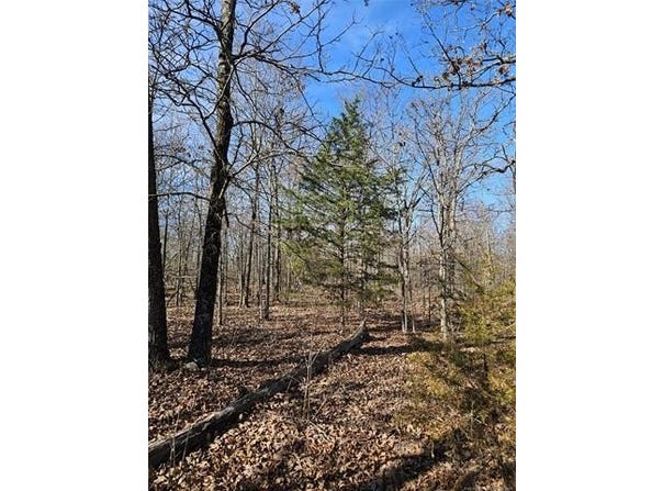 54601 E 233 Road, Afton, OK 74331