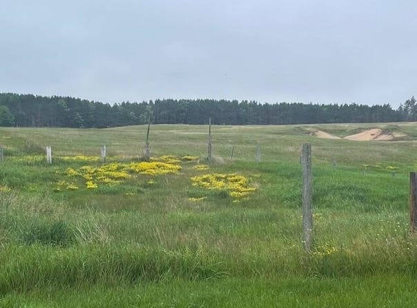 3881 County Highway H -, Laona, WI 54541