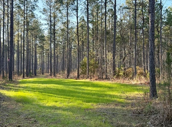 Highway 28, Abbeville, SC 29620