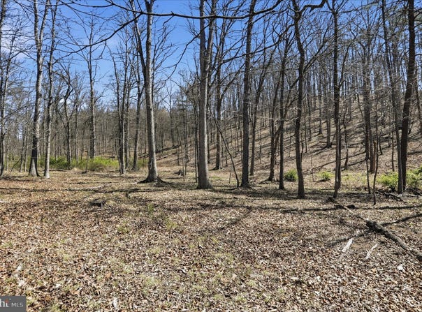 20.32 AC TROUGH Road, MOOREFIELD, WV 26836