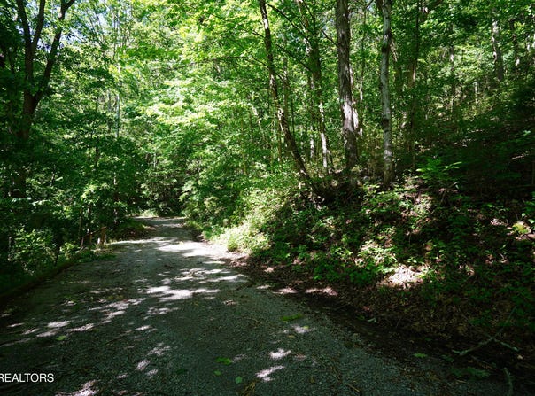 Love Colony Rd, Smithville, TN 37166