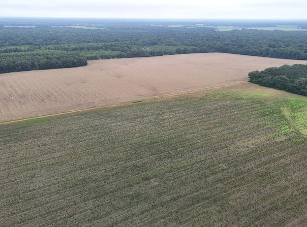 1800 RIver Road, Stuttgart, AR 72160