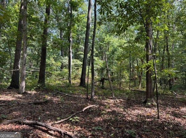 348 Pat Rich, Canton, GA 30115