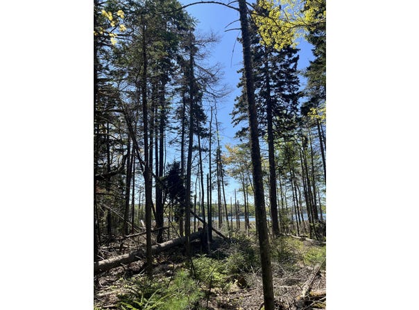 1572 State Highway 102, Bar Harbor, ME 04609