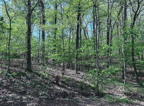47 Rubi Circle, Hot Springs Village, AR 71909