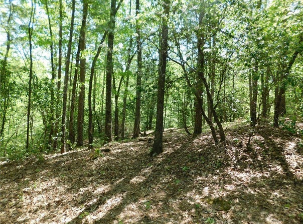 250 Cliffs Falls Parkway, Salem, SC 29676
