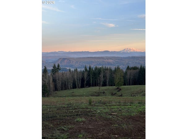 208 Suncrest Dr, CastleRock, WA 98611