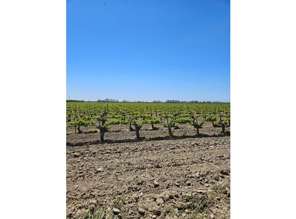 North, Kerman, CA 93630