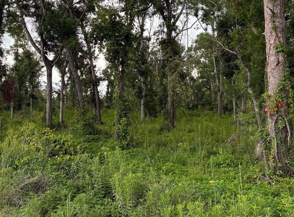 LOT13 DOWLING OAKS, Live Oak, FL 32060