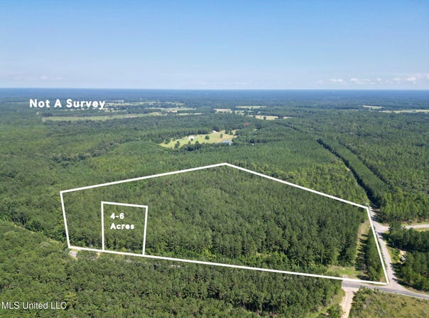 Nhn N Hwy 43 N, Poplarville, MS 39470
