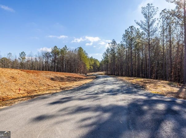 #3 Lone Bear Path, Dallas, GA 30132