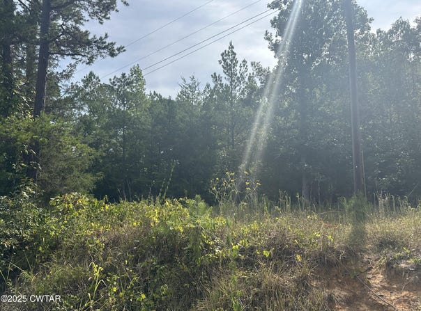 Stewart Road, Henderson, TN 38340