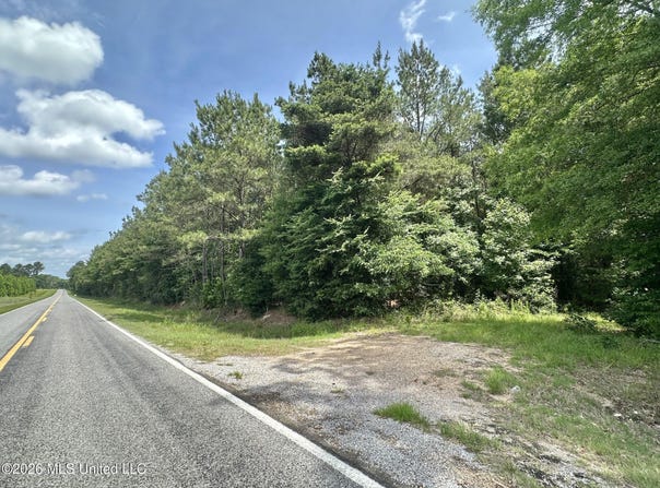 3 Highway 483, Morton, MS 39117