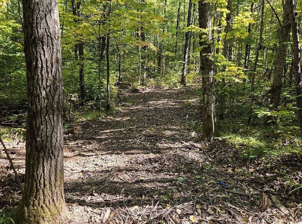 9 National Trail, Crandon, WI 54520