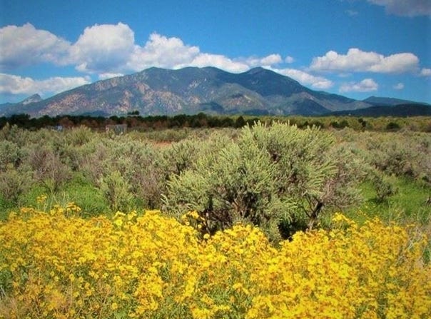 2008 Cottontail Rd 2 lots, Taos, NM 87571