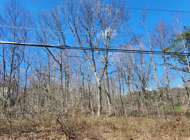 Panther Run Road lot: D423, Jim Thorpe, PA 18229