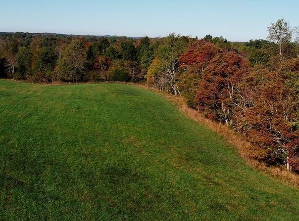 TRACT 2 Roy Road, Eastview, KY 42732