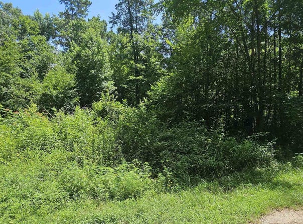 121 Williams Road, Royal, AR 71968