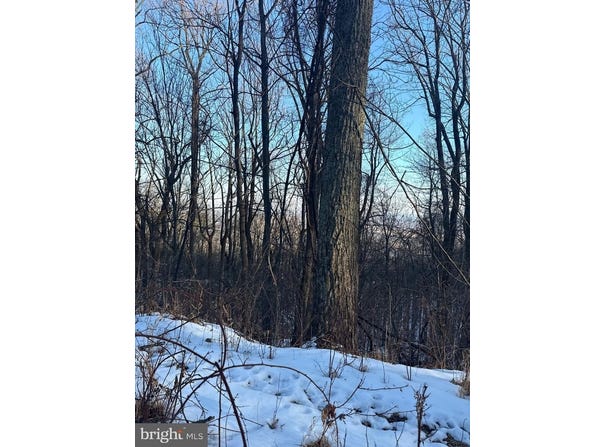 1607 SUMMIT DR, HAYMARKET, VA 20169