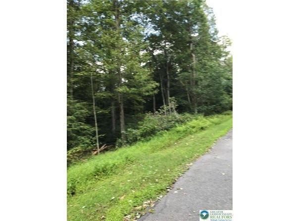 367 -368 Sparrow Lane, Penn Forest Twp, PA 18229