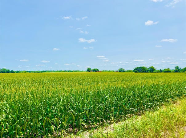 TBD2 CR 406, Buckholts, TX 76518