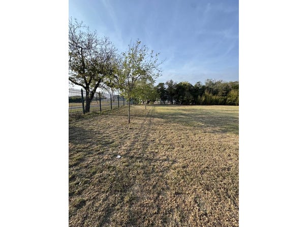Pecan, Bandera, TX 78003