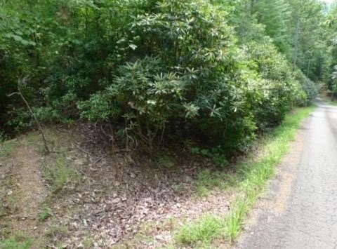 Mountain View Drive lot: 18, Lowgap, NC 27024