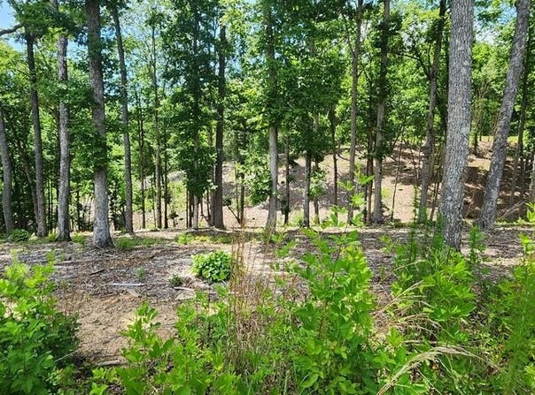 Lt 106 Split Creek Road, Morganton, GA 30560